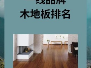 地扪品牌有哪些？