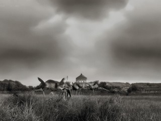 天府新区全国公开招聘，招什么样的人？