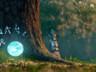 综维究竟是什么？