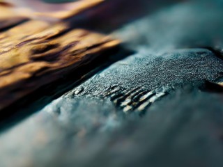 补录要求有哪些？