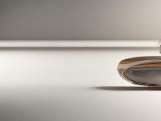 蓝什么琳是品牌名还是谐音梗？