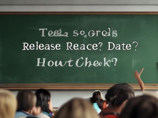 教师成绩何时公布？如何查询？