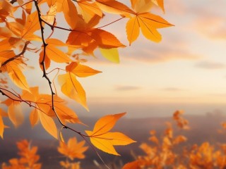 金风何意？秋日之风还是另有深意？