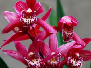 时尚服饰有哪些必备单品？