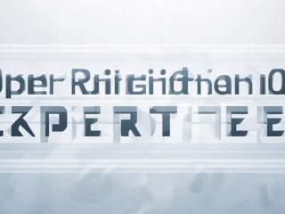 公开招聘专家费