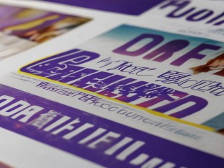 潍坊职业学院公开招聘，何时开始报名？