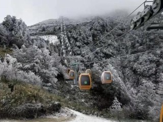 景区卡位岗位职责具体指什么？