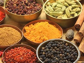 天麻有哪些销路