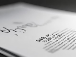 公开招聘调档函有何用途？