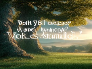 优秀到底是什么？标准究竟在何方？