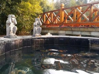 童鞋风格这么多，到底该怎么选？