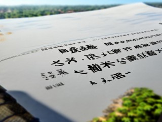 周至县公开招聘何时开始报名？