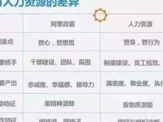 hr bp岗位职责