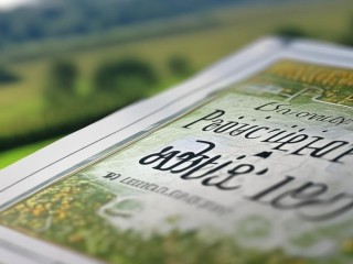 尤溪县公开招聘何时开始？