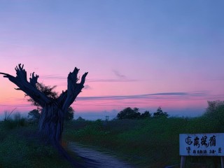 天晓究竟指黎明还是知晓天意？