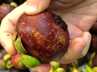 开水果店需准备哪些核心物资？