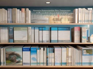 护理公开招聘面试书籍该怎么选？