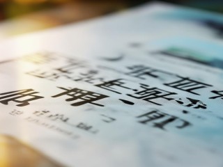 西平县公开招聘何时开始？