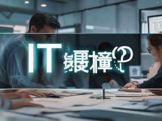 IT项目究竟指什么？