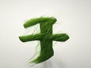 草字头一个青念什么