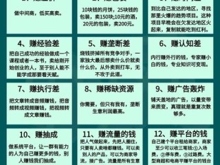 项目项目哪些赚钱？