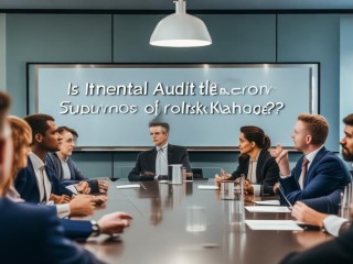 内部审计究竟是企业监督者还是风险管理者？