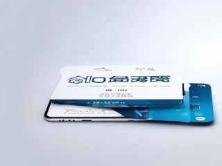 平安口袋银行是款什么银行APP？