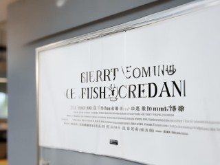 临淄社区专职招聘何时开始？