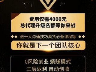 代理哪些项目好呢