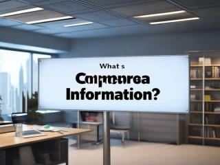 企业信息究竟指什么？