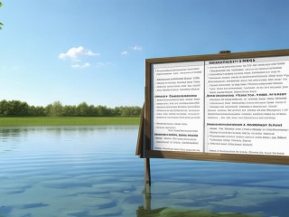 白湖公开招聘哪些岗位？要求是什么？