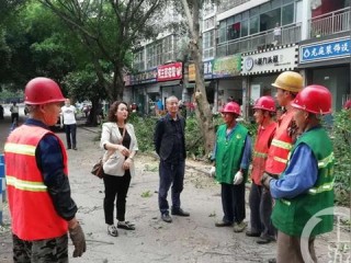 建设副总核心职责有哪些？