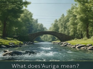 欧力给什么意思？