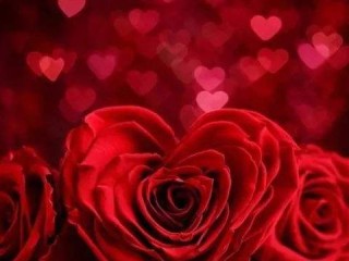 制造技术岗位职责具体包含哪些核心任务？