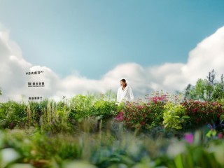 云药是什么？揭秘其定义与价值。