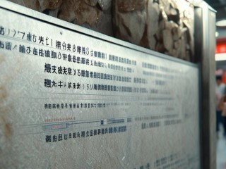 鲁山县2019公开招聘何时开始？