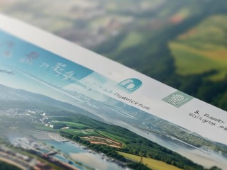 岱岳区招聘教师，何时报名？条件如何？