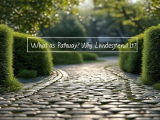 铺道到底是什么？为何要了解铺道？