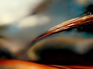 仅限具体指哪些范围或条件？