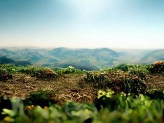 视界到底指什么？