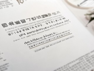 合肥幼师公开招聘分数多少？