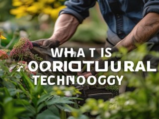 园艺技术究竟是什么？