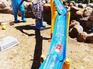 水育早教游戏有哪些？