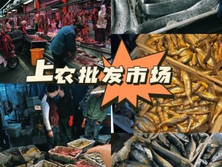 全国有哪些市场？