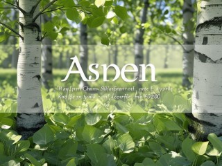 Aspen是什么意思？