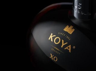 情趣衣物有哪些款式与材质？