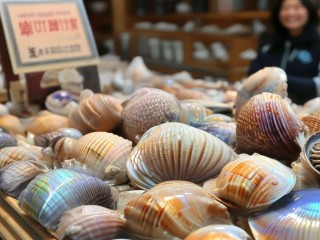 挖贝是什么？它提供什么核心服务？