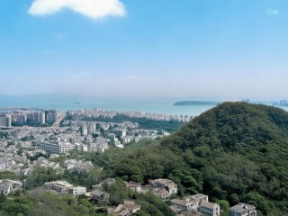 上海幼儿园公开招聘，哪些人能报？