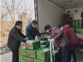 生鲜副总岗位职责