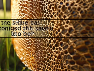 马蜂窝真如传说中那般危险吗？